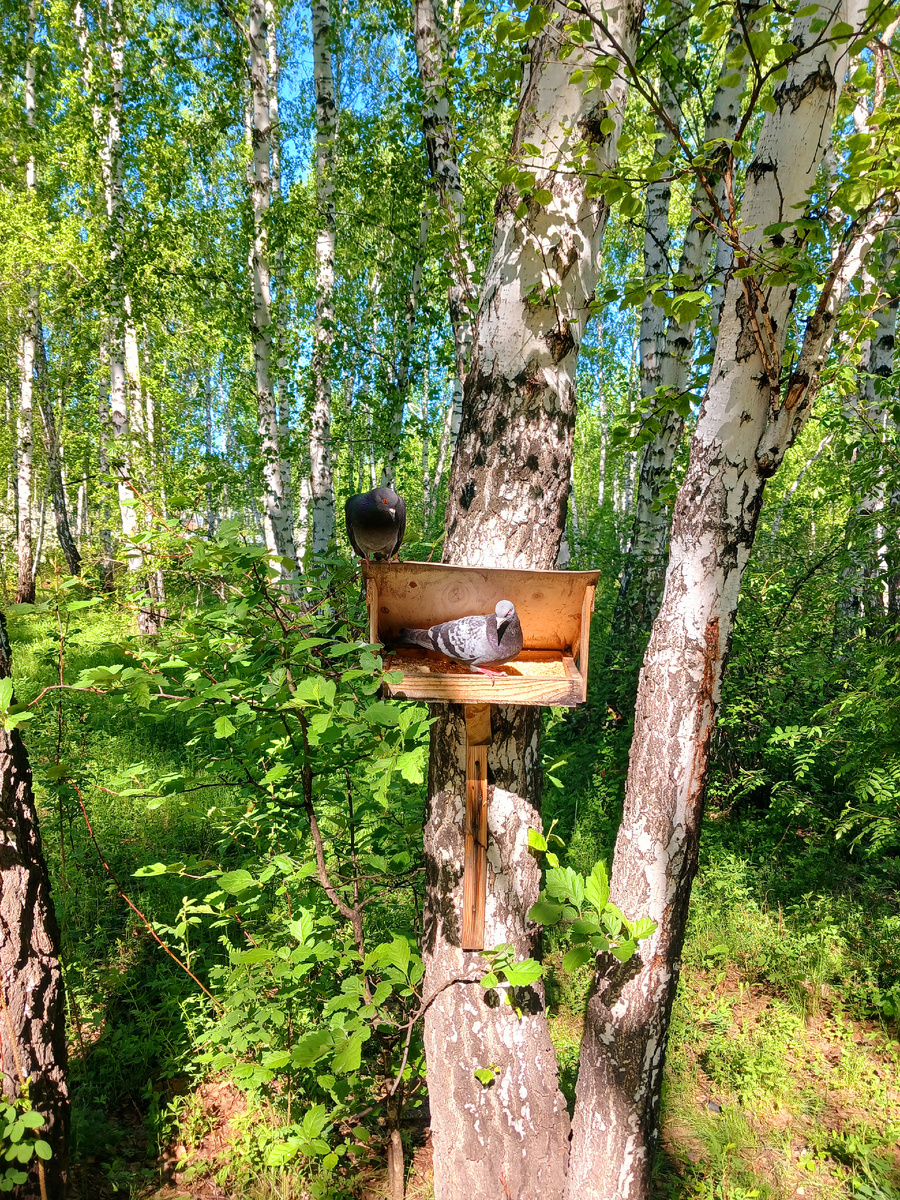 "Доброе утро, мир! Ты прекрасен!" Фото автора