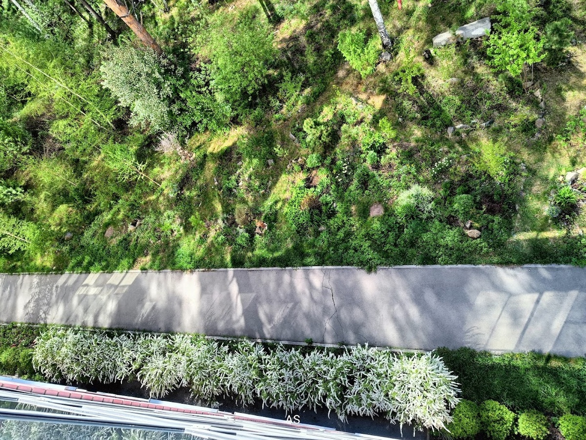 Улица Цветаевой, май 2015 года. Экосад, вид с того же балкона 10 лет спустя. 