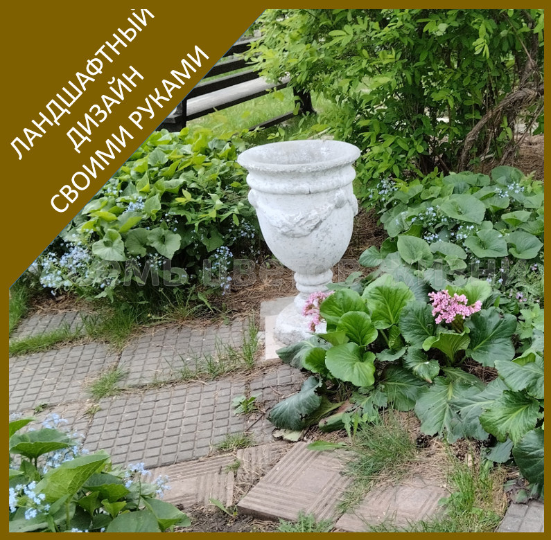 Побольше бы таких уголков без ухода