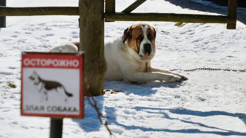Фото: Майя Жинкина / Коммерсантъ