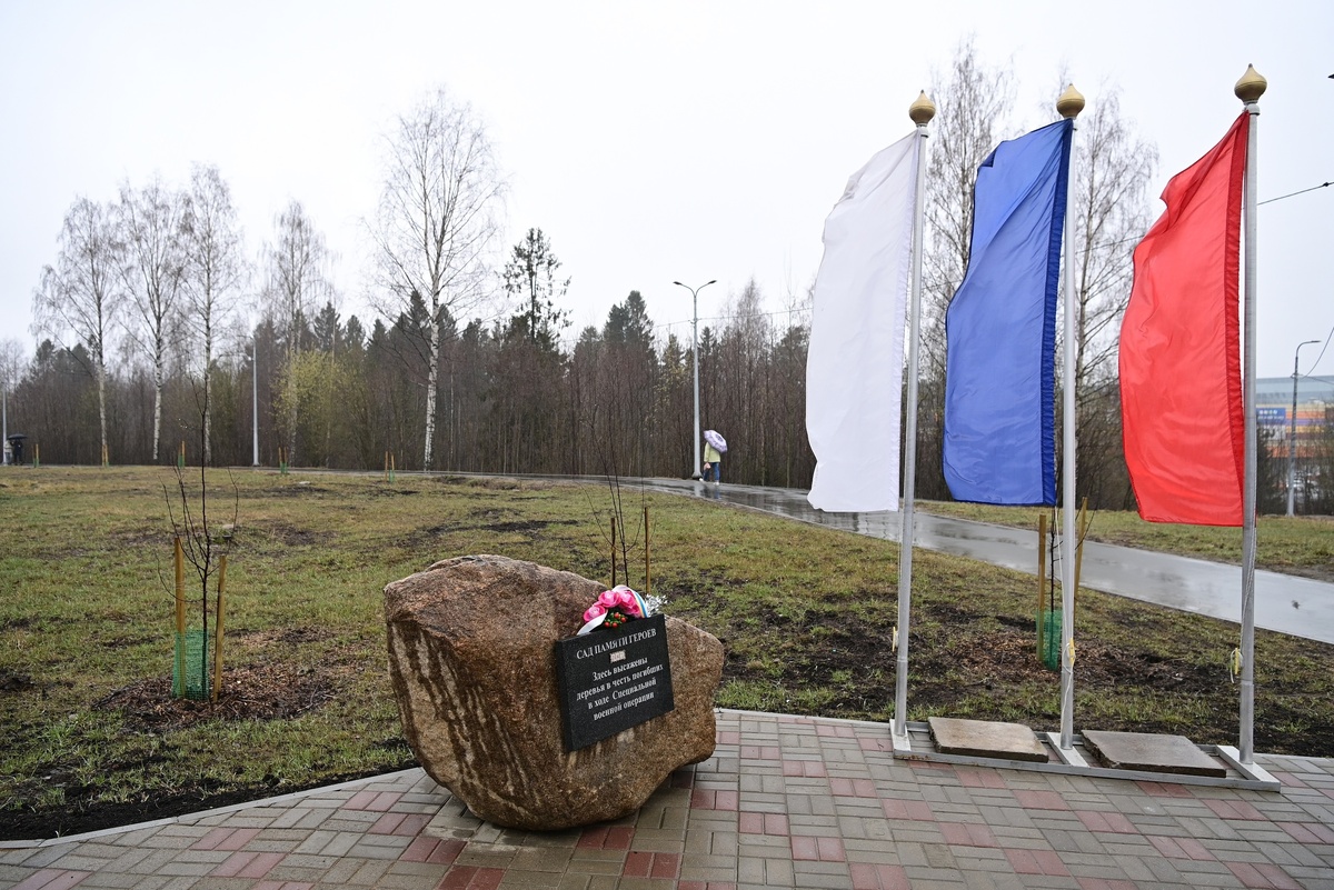    Сад памяти героев СВО в Петрозаводске. Фото: «Республика» / Сергей Юдин
