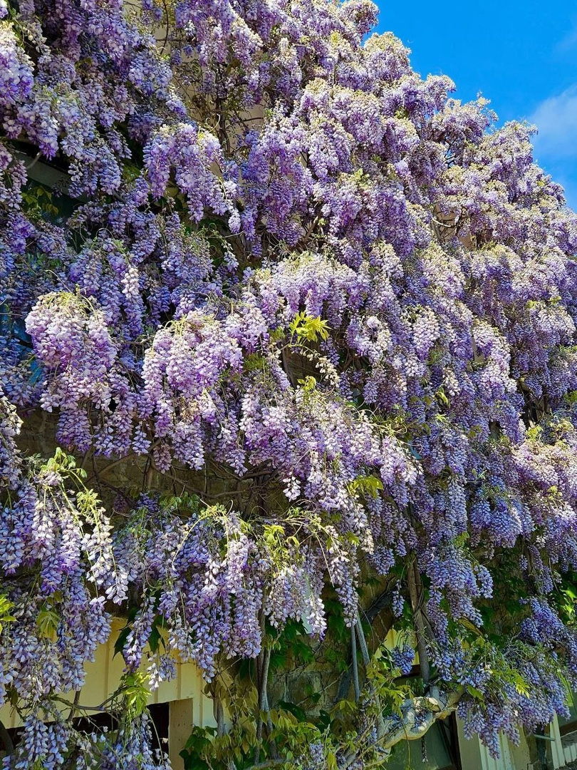 Фото: соцсети