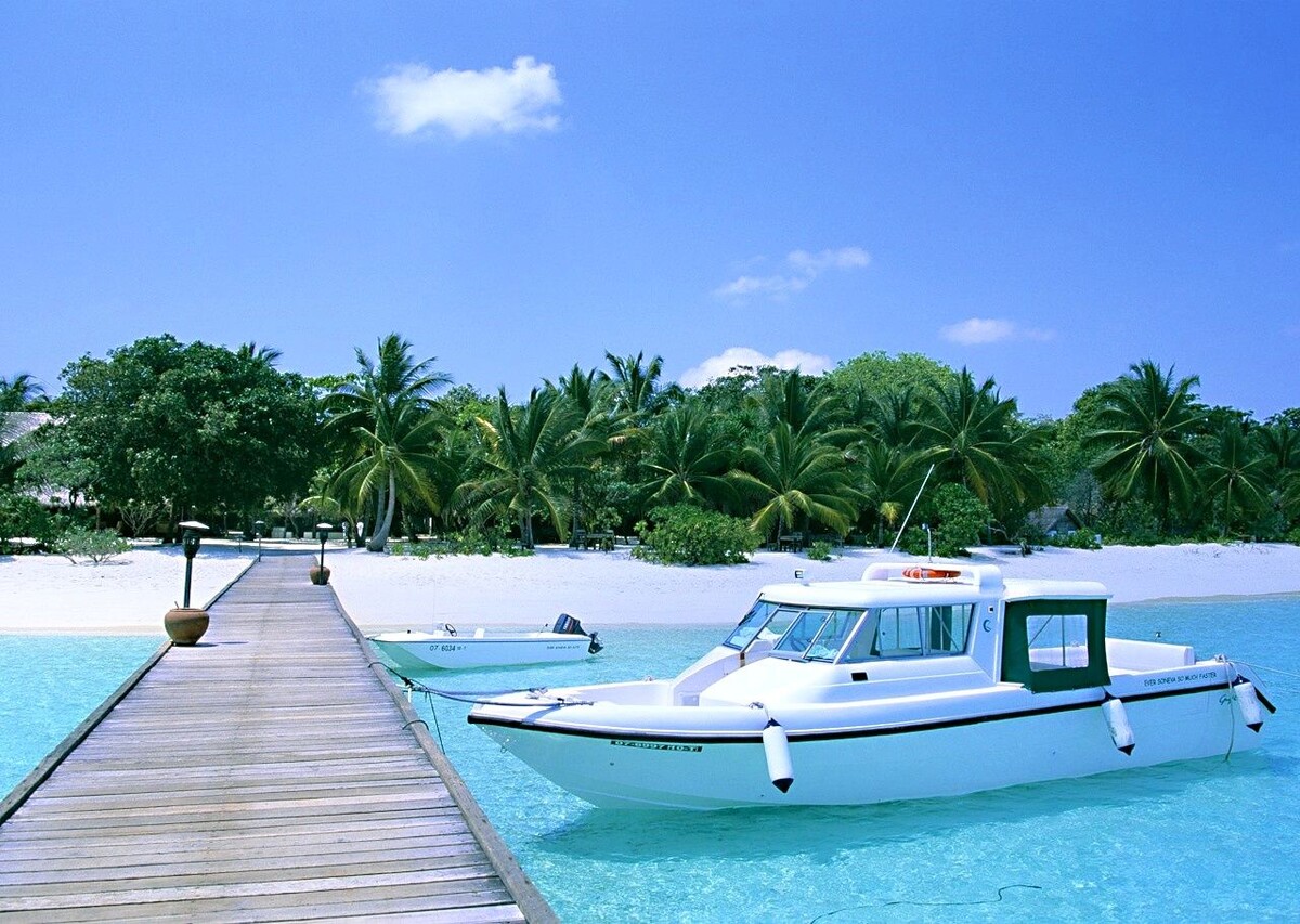 Источник Яндекс картинки