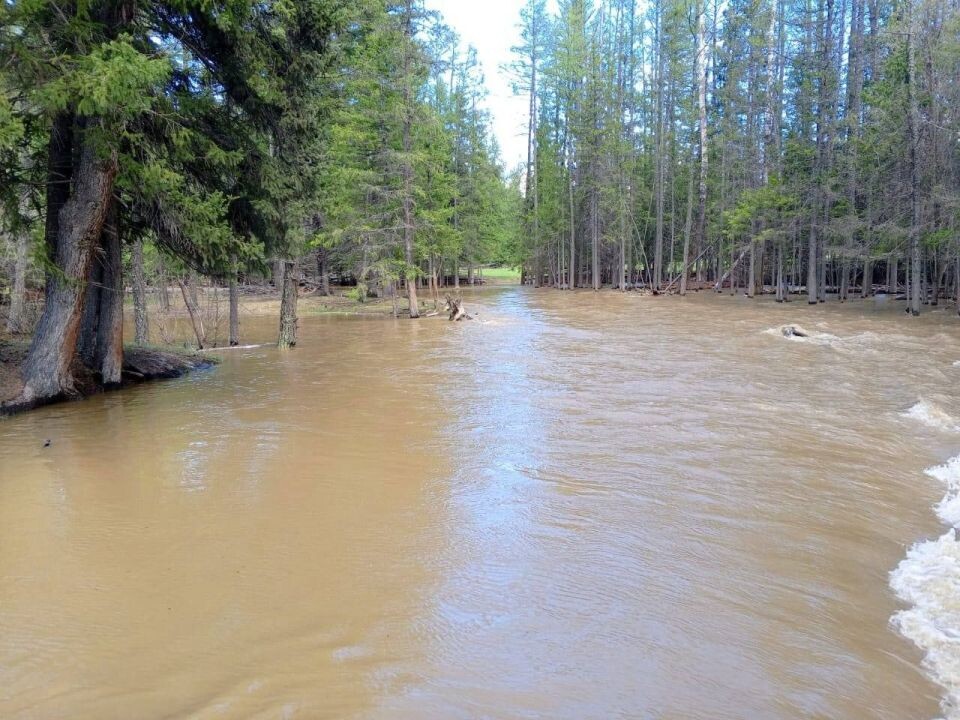    Подтопление и временный проезд на дороге Улаган – Кара-Кудюр. Источник: Горно-Алтайавтодор