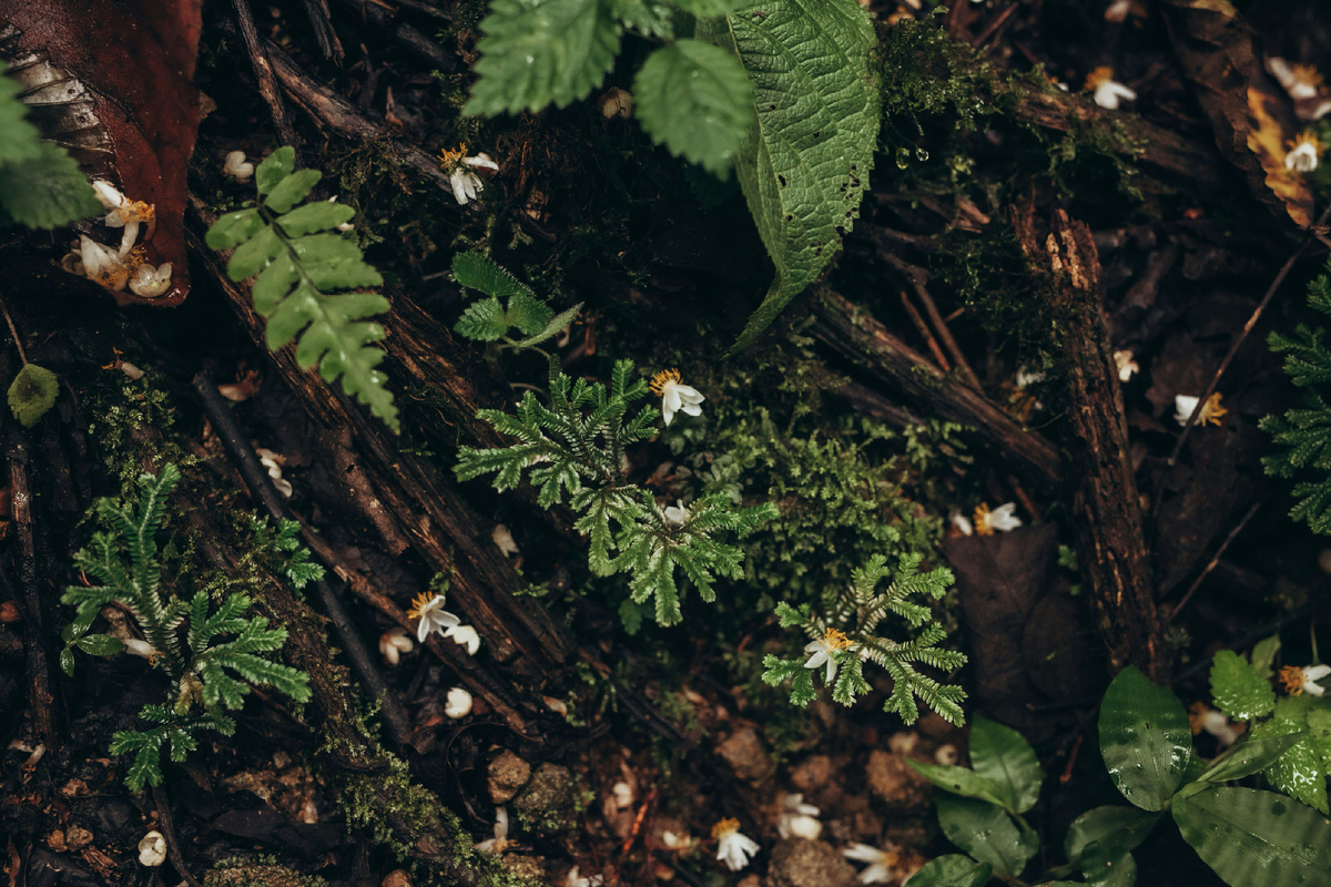 Картинка с бесплатного фотостока https://unsplash.com, автор Elizabeth Mumford