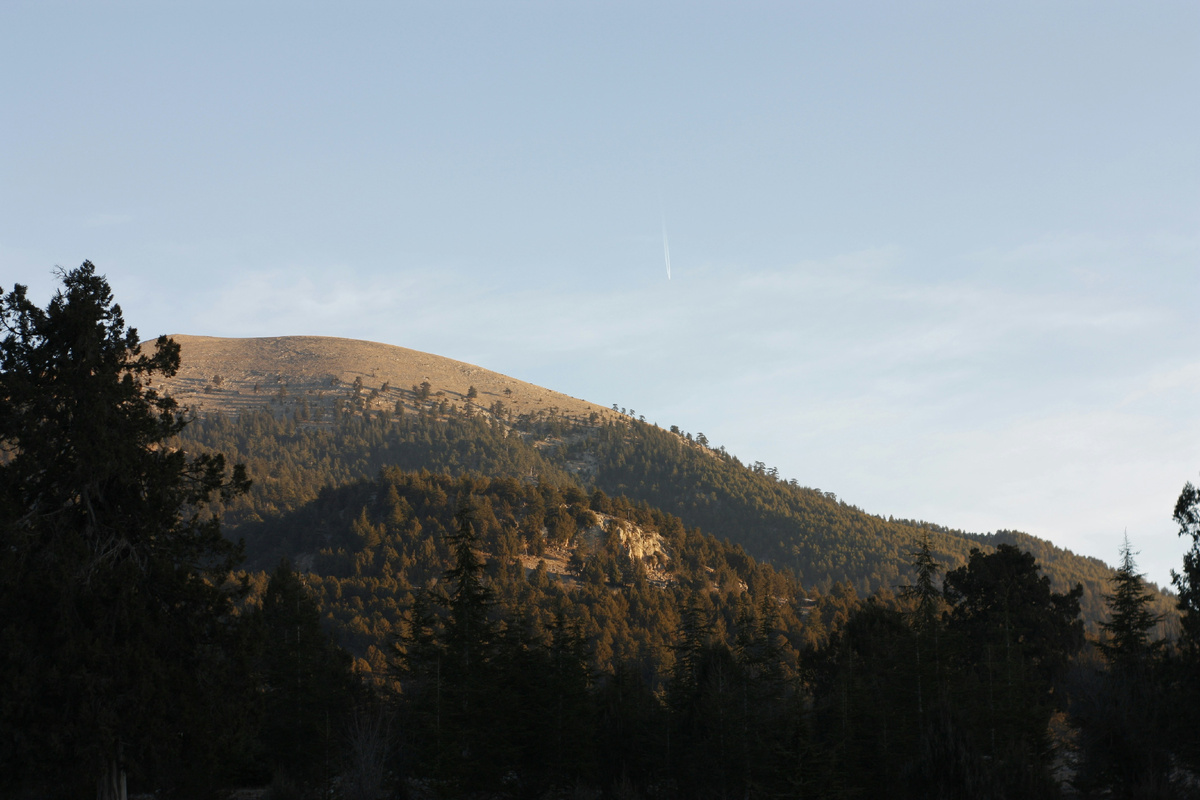 Картинка с бесплатного фотостока https://unsplash.com, автор Güney Akın