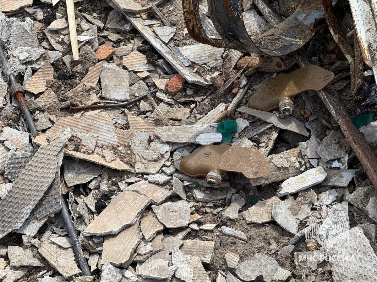    В Курской области пиротехники МЧС России обезвредили более 80 мин-лепестков