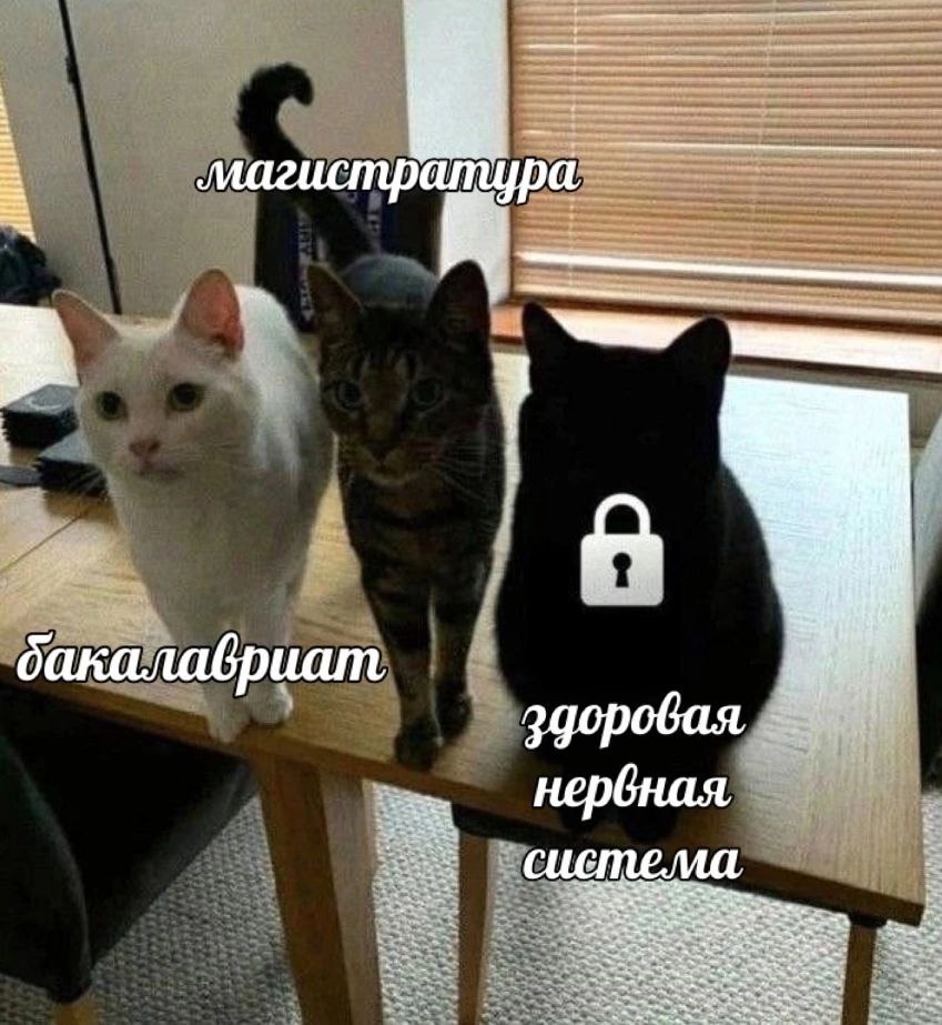 На это, правда, многие жалуются.