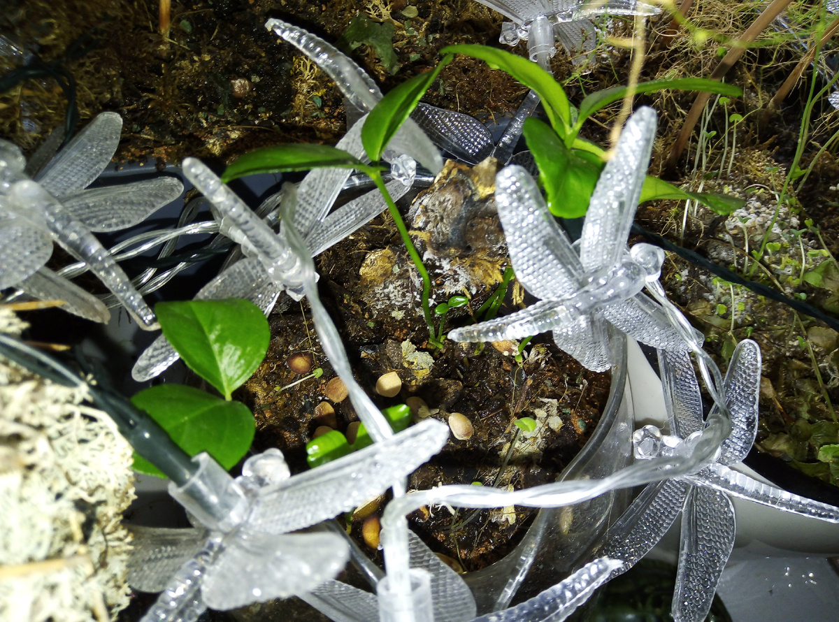 Фото автора.