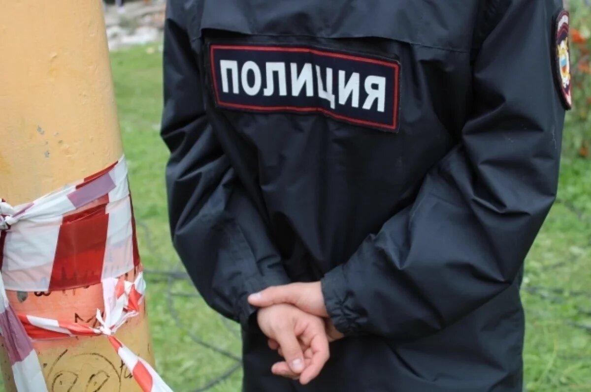    МВД ведёт проверку после видео с пермяком, который душил женщину у магазина