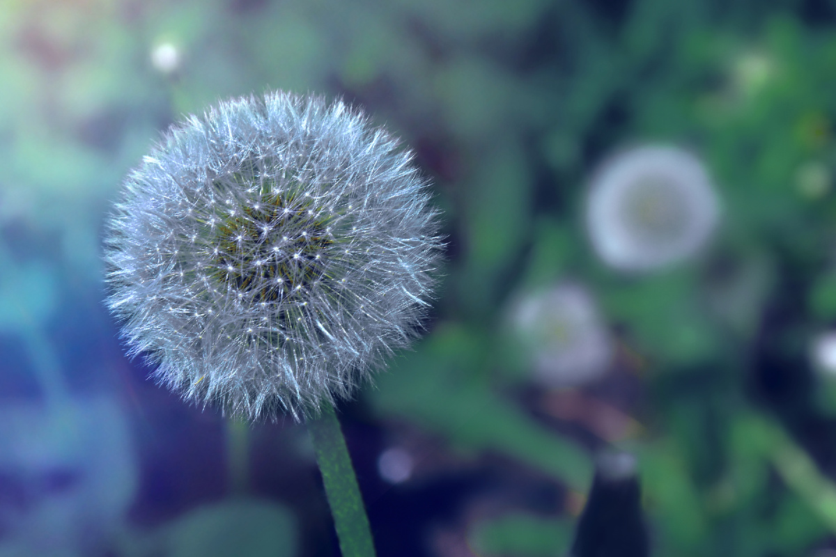 Копирование фотографий запрещено. Контент является интеллектуальной собственностью. Защищён авторским правом.