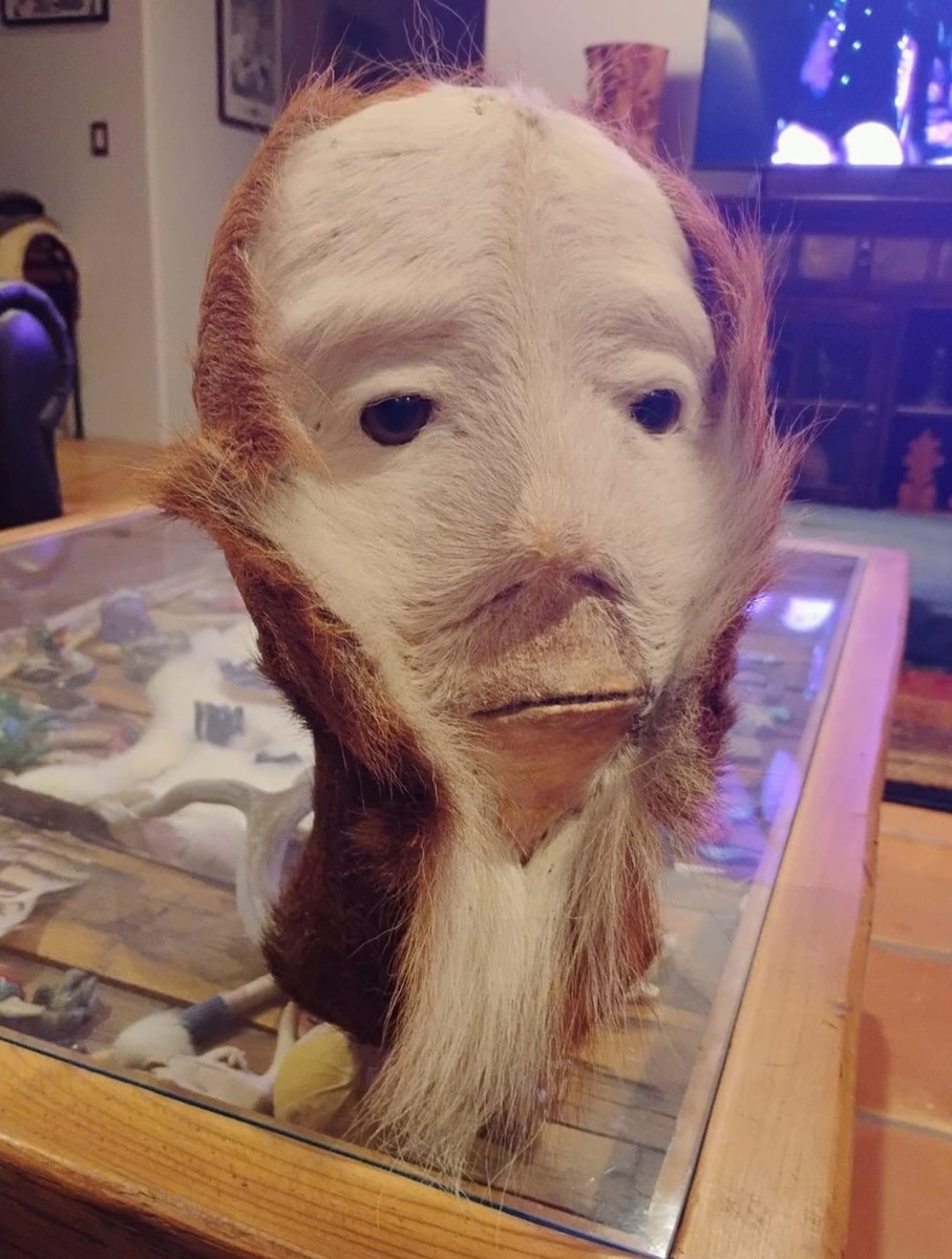 Источник: redd.it