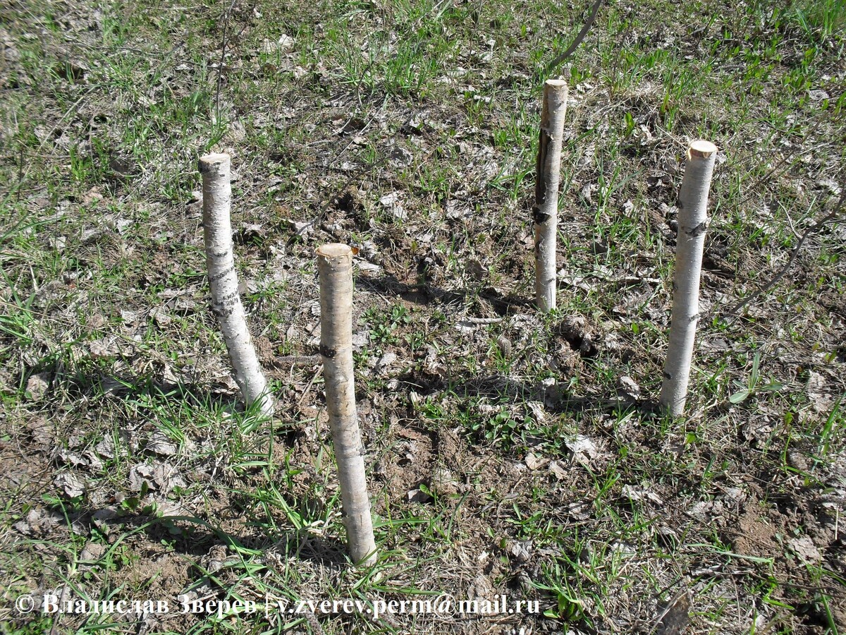 Фото 2. Основные опоры.