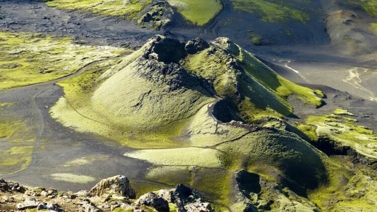 Картинка из интернета 