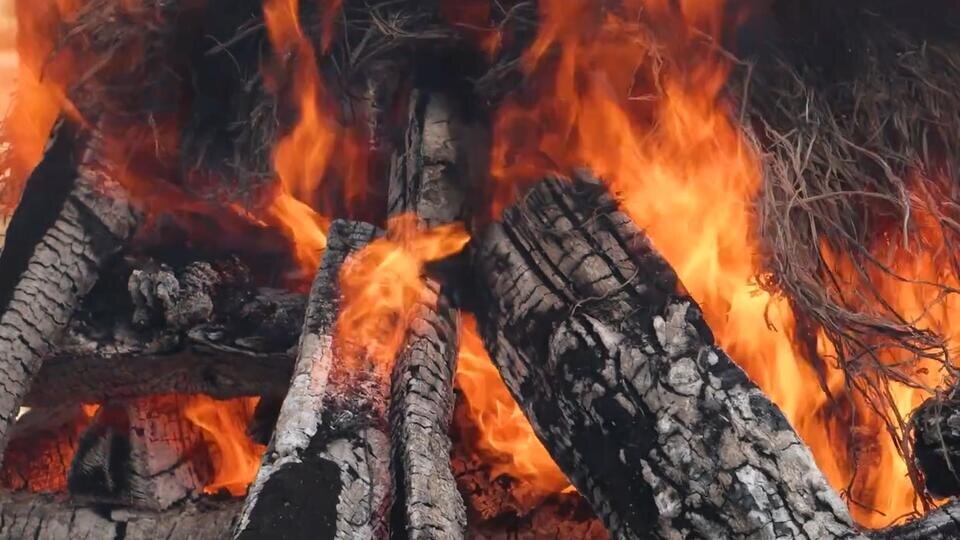 Фото: © Кадр из программы "Невероятно интересные истории", РЕН ТВ