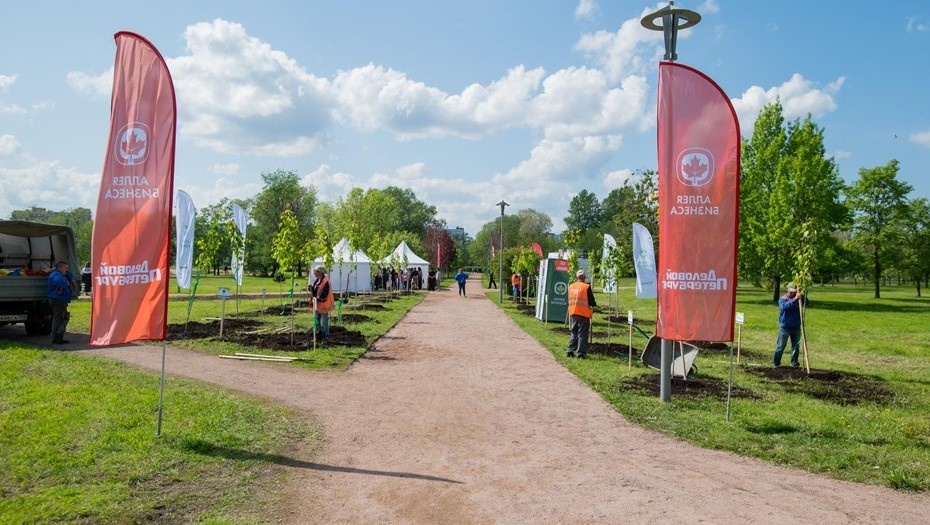    Аллея бизнеса в Пулковском парке.