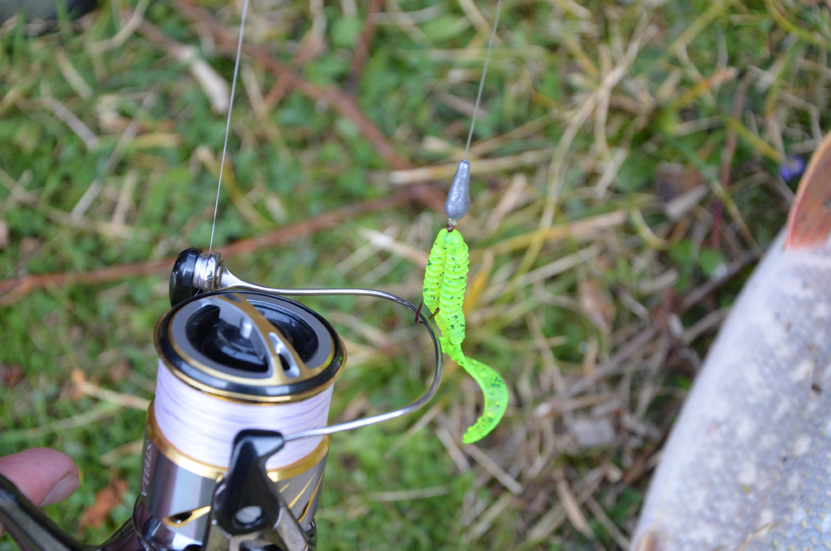 Такая оснастка при грамотной проводке может соблазнить «мертвую» рыбу.