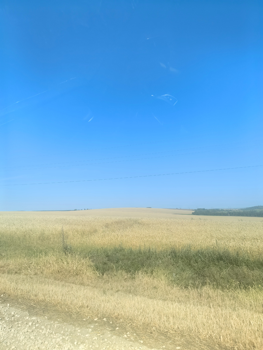 поля вдоль дороги