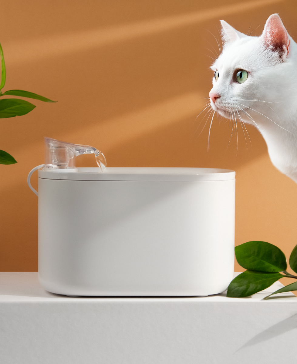 Питьевой фонтан для домашних животных Rombica myPet Mia