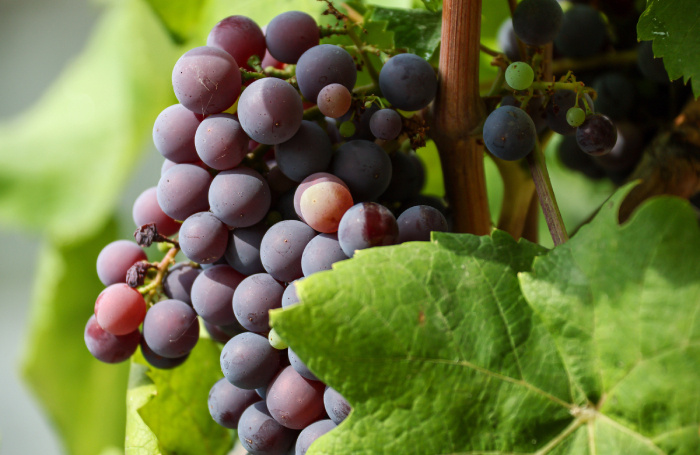    Сергей Мальгавко/ТАСС