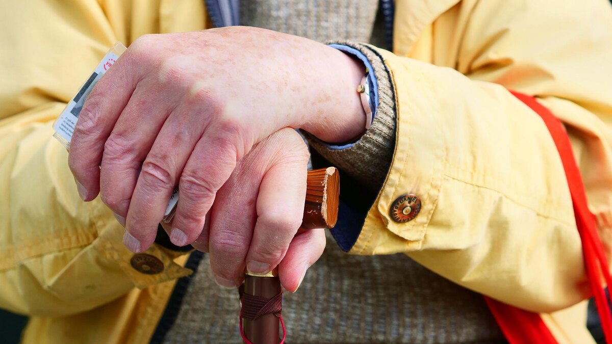    Фото: Wolfram Steinberg/Dpa/globallookpress.com