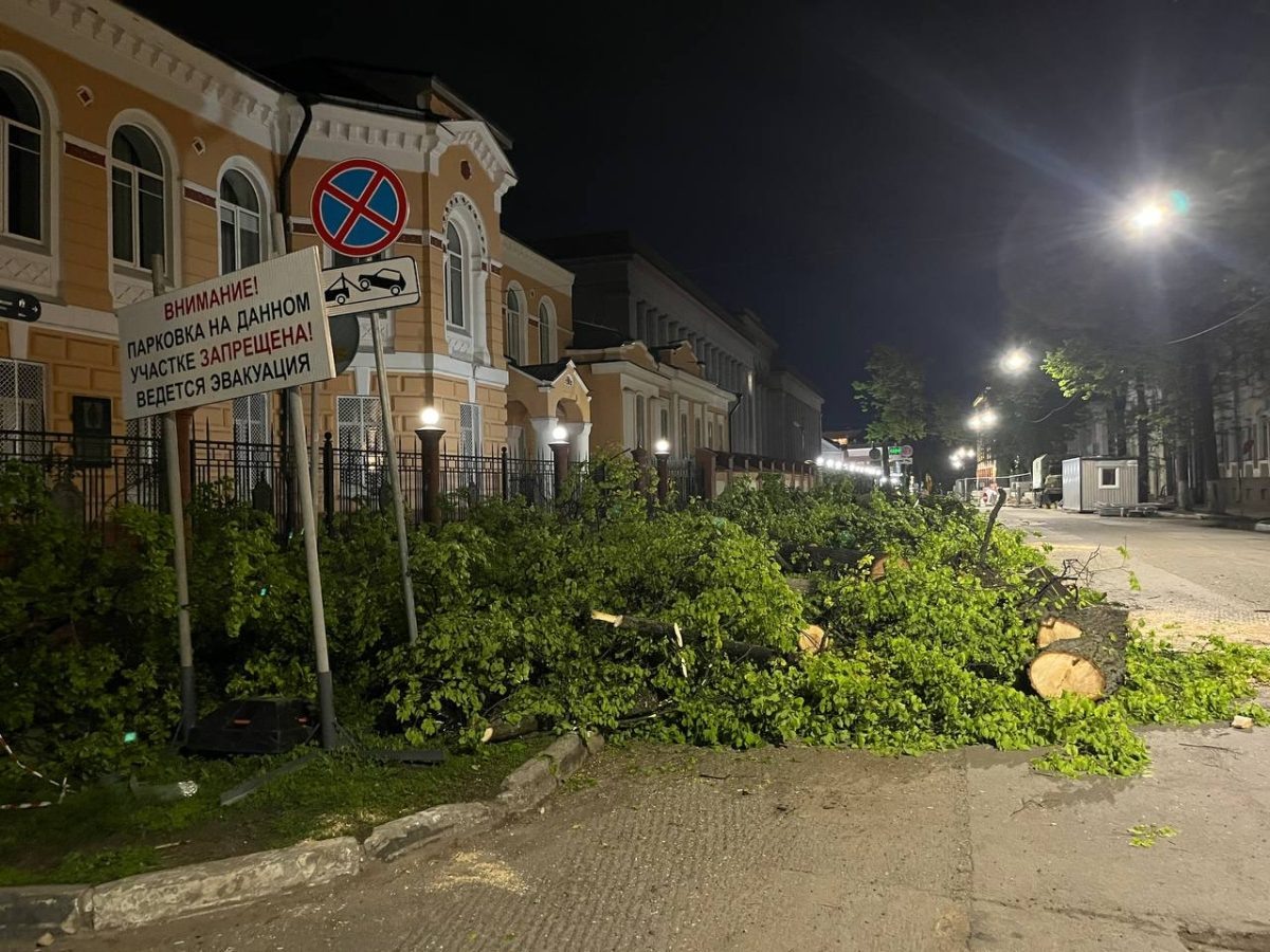    Поваленные деревья обнаружили в районе дома №3 по Малой Покровской улице