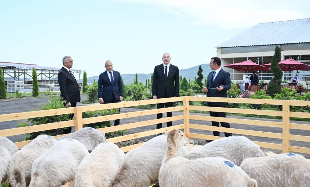    Многие азербайджанцы с недоумением восприняли отказ Алиева от поездки в Москву на 9 мая. Фото с официального сайта президента Азербайджана