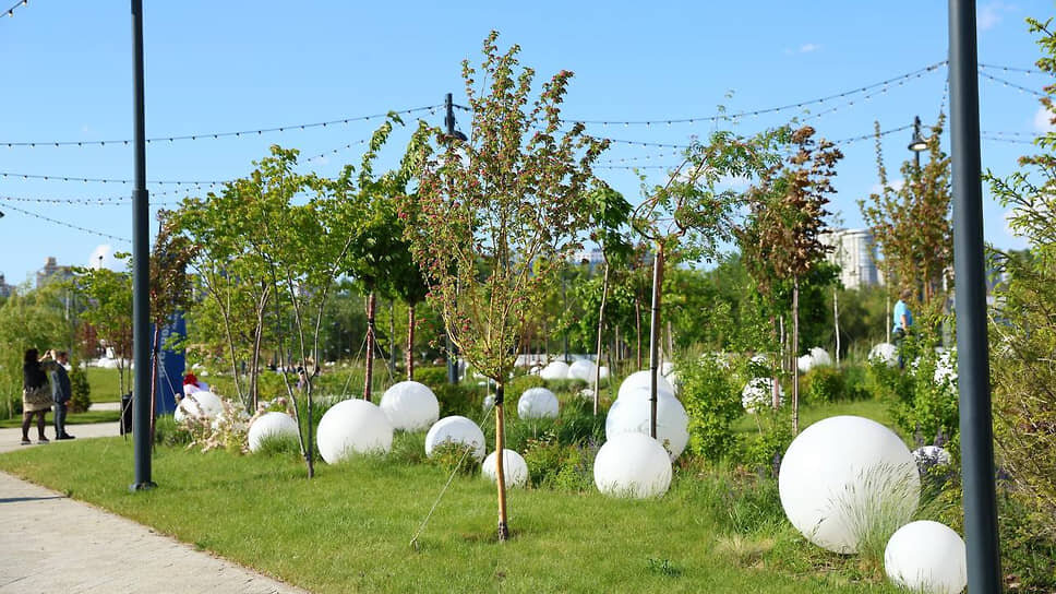 Фото: Администрация Ростова-на-Дону