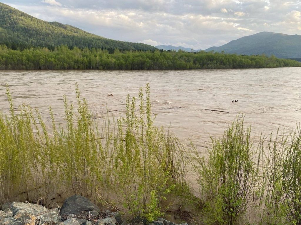    фото: Минприроды РХ Kristina