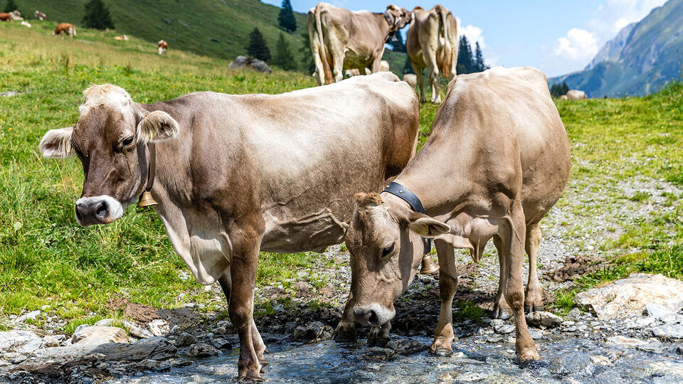 Фото: © www.globallookpress.com/Frank Hammerschmidt/dpa