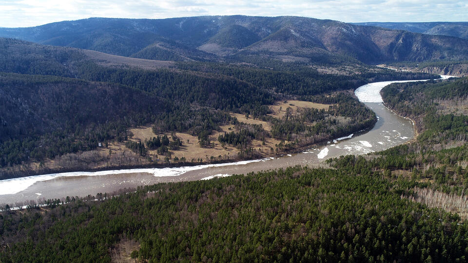 Фото: РИА Новости/Илья Наймушин