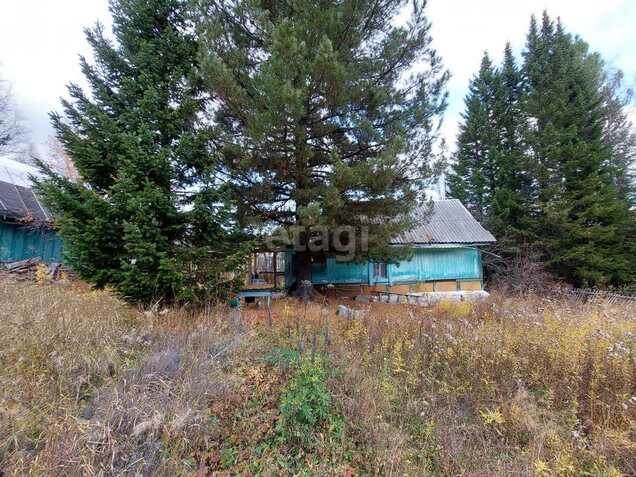 Небольшой домик в окружении кедров
Фото: kras.etagi.com