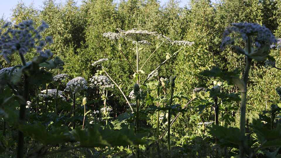 Фото: © Владимир Гердо/ТАСС