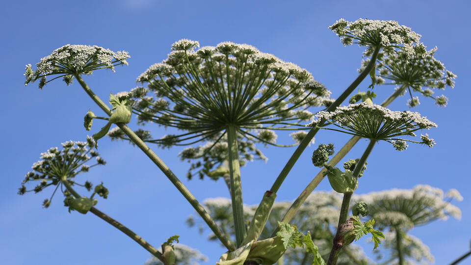 Фото: РИА Новости/Павел Львов