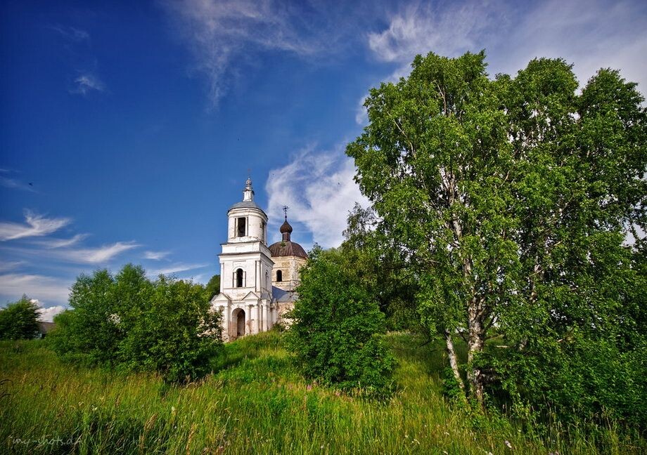 фото из открытого доступного источника сети интернет