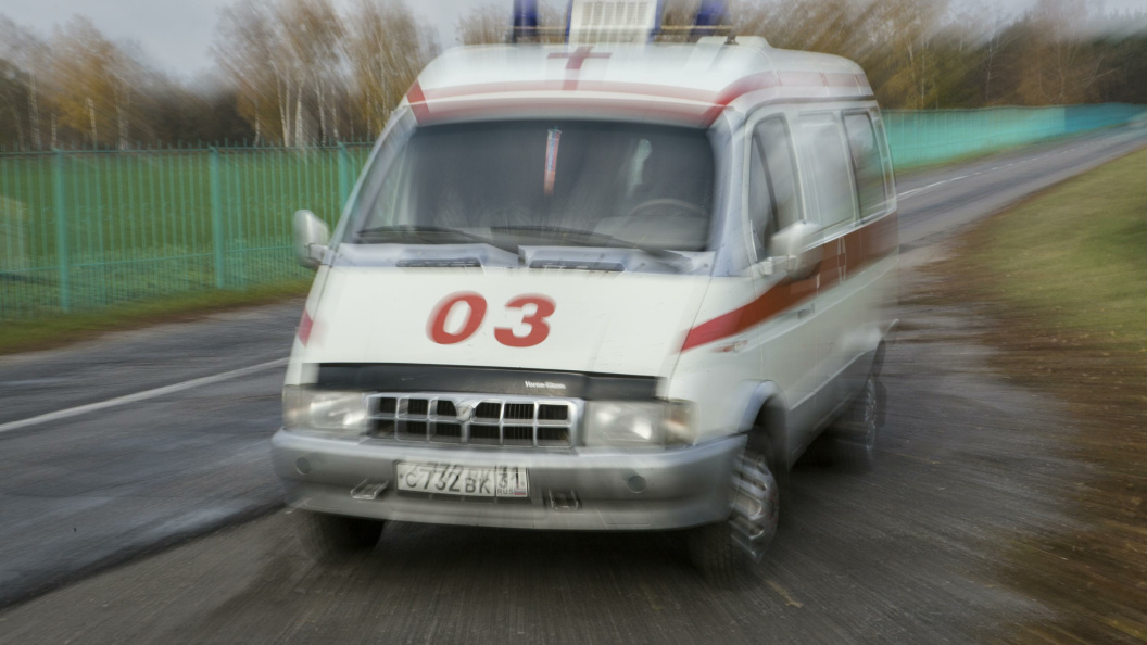    Фото: Nikolay Gyngazov /Globallookpress