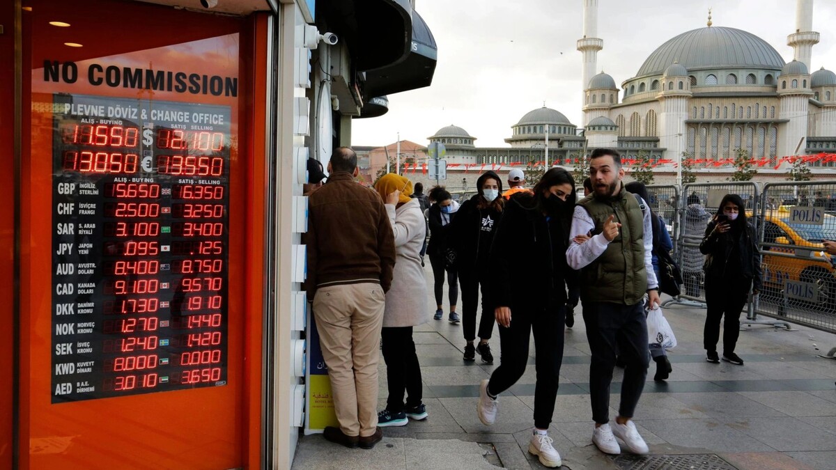    Фото: Nelson Antoine/Shutterstock/Fotodom