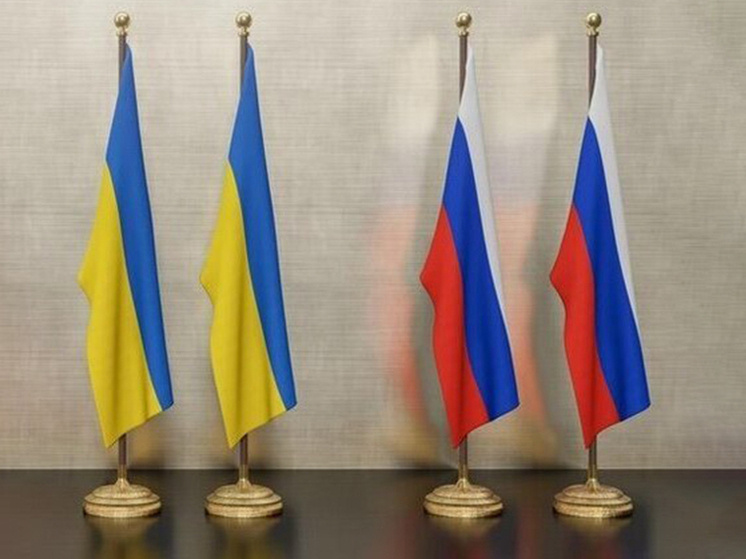 Фото: freepik.com
