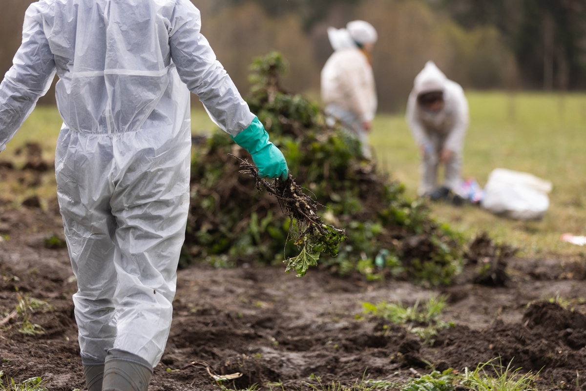фотографии представлены ВООП