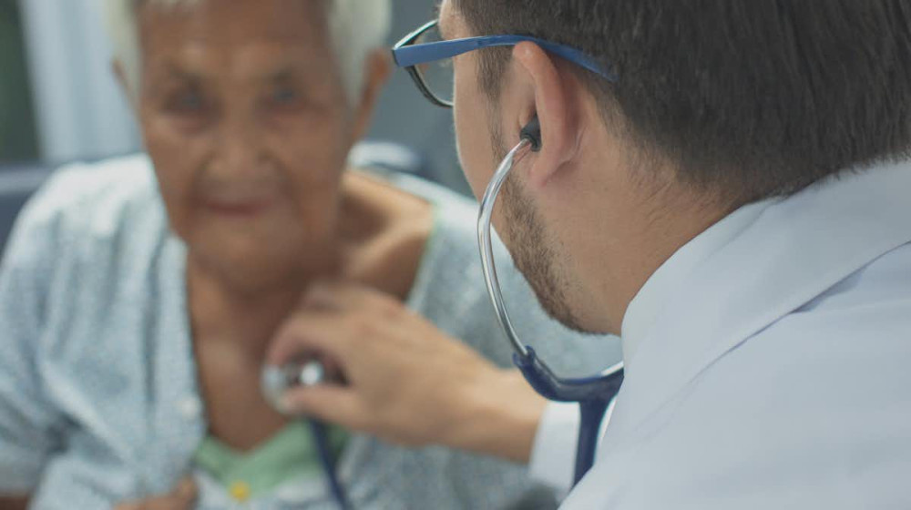    Танцующие кошки Минаматы как ртутный кошмар Японии