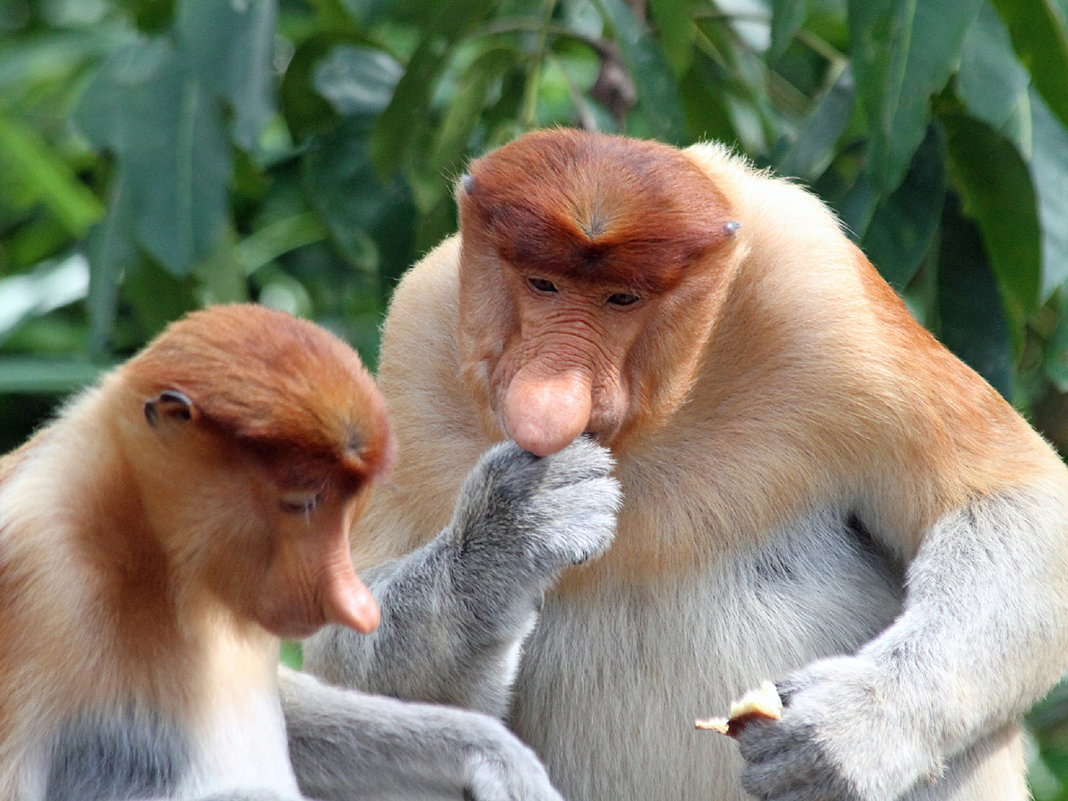 chrissmallwood, CC BY-NC 2.0