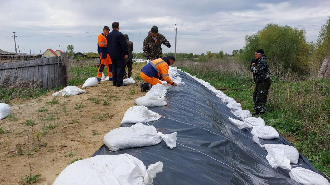 Фото: ТГ-канал главы Викуловского района Андрея Лотова