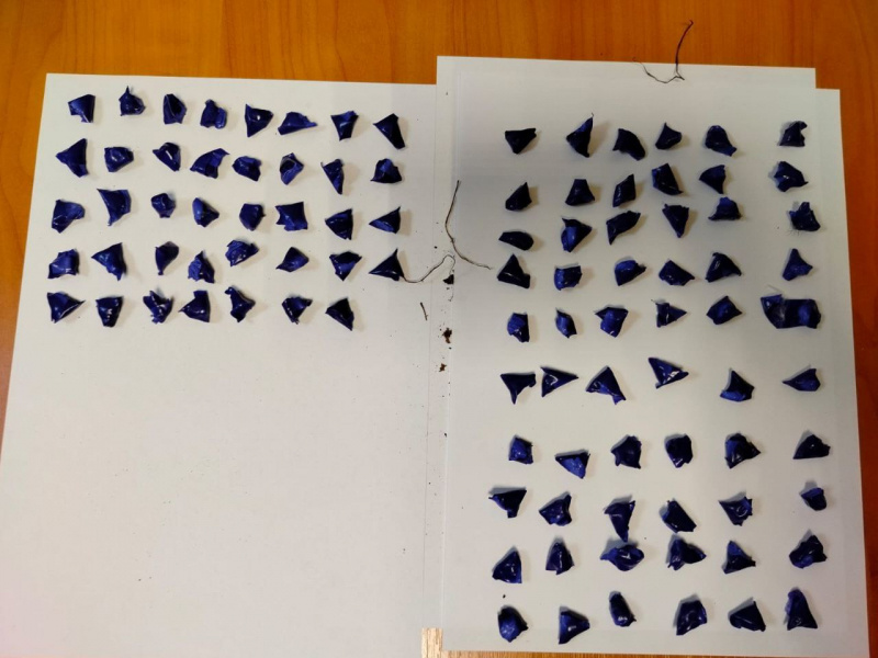 Фото: пресс-служба ГУ МВД России по Челябинской области