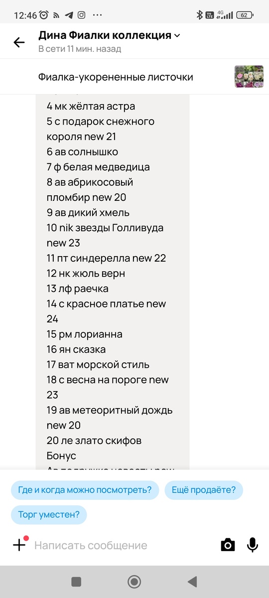 Скрин Авито переписки.