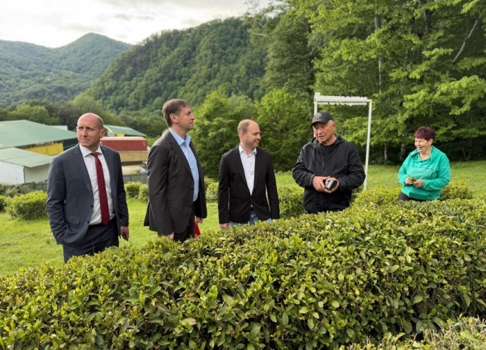    администрация Краснодарского края