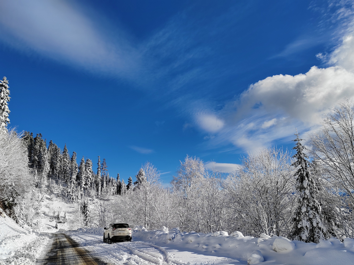 Солнечный денек по дороге на Яворову Поляну от поселка Гузерипль. Солнце грело невероятно, будто летом, а небо в этот день имело какой-то волшебный оттенок!