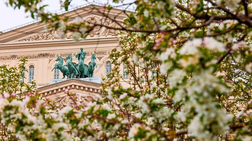    Фото М. Денисова. Mos.ru