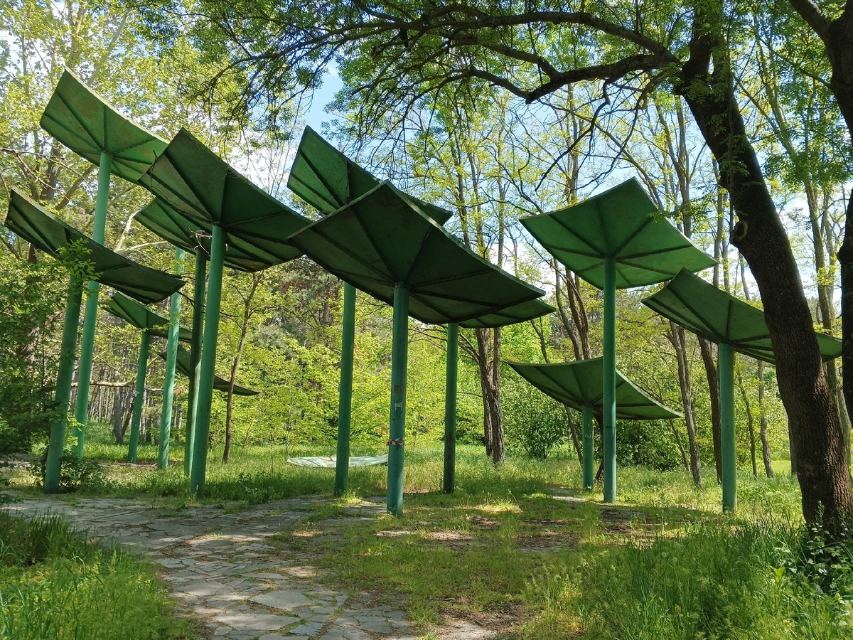 Мы ждём вас, жители Альдебарана... Фото Галины Малышевой.