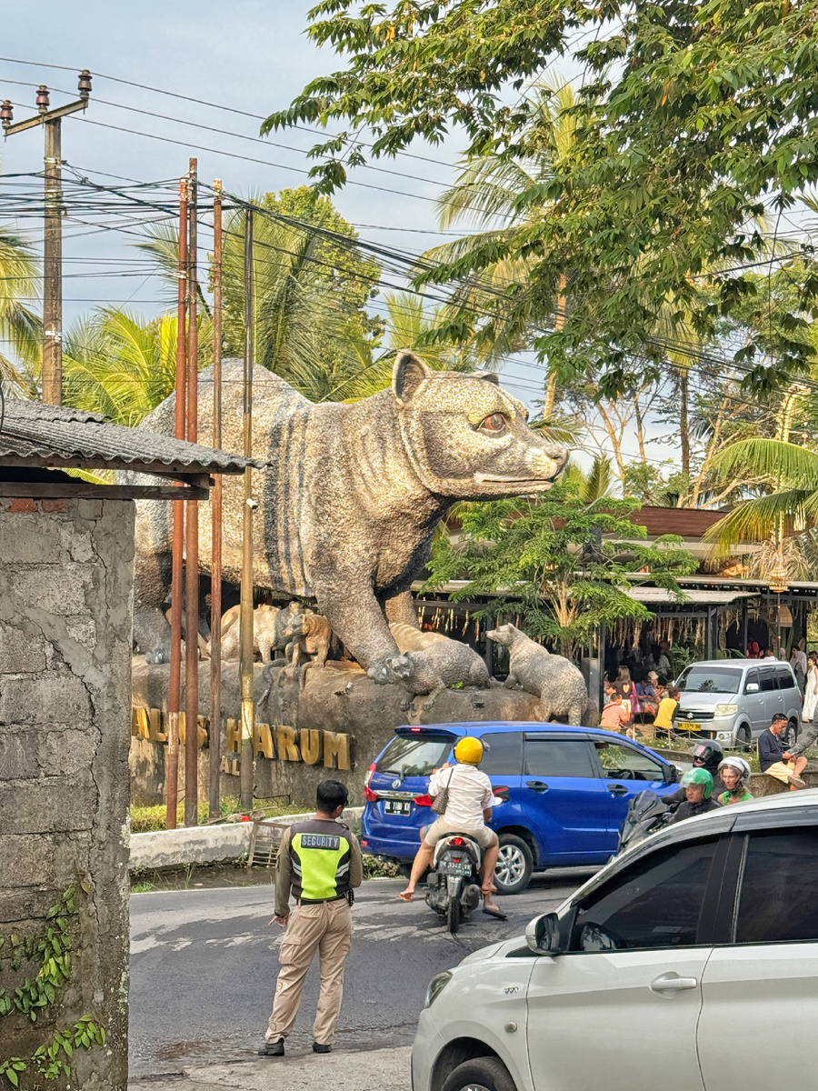 Сурок просто окаменел от всего этого безобразия! 