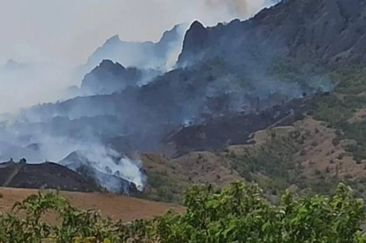    Виновник пожара в Карадагском заповеднике получил условный срок